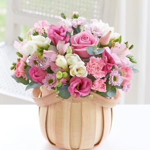 Meet your Posher, Galyna